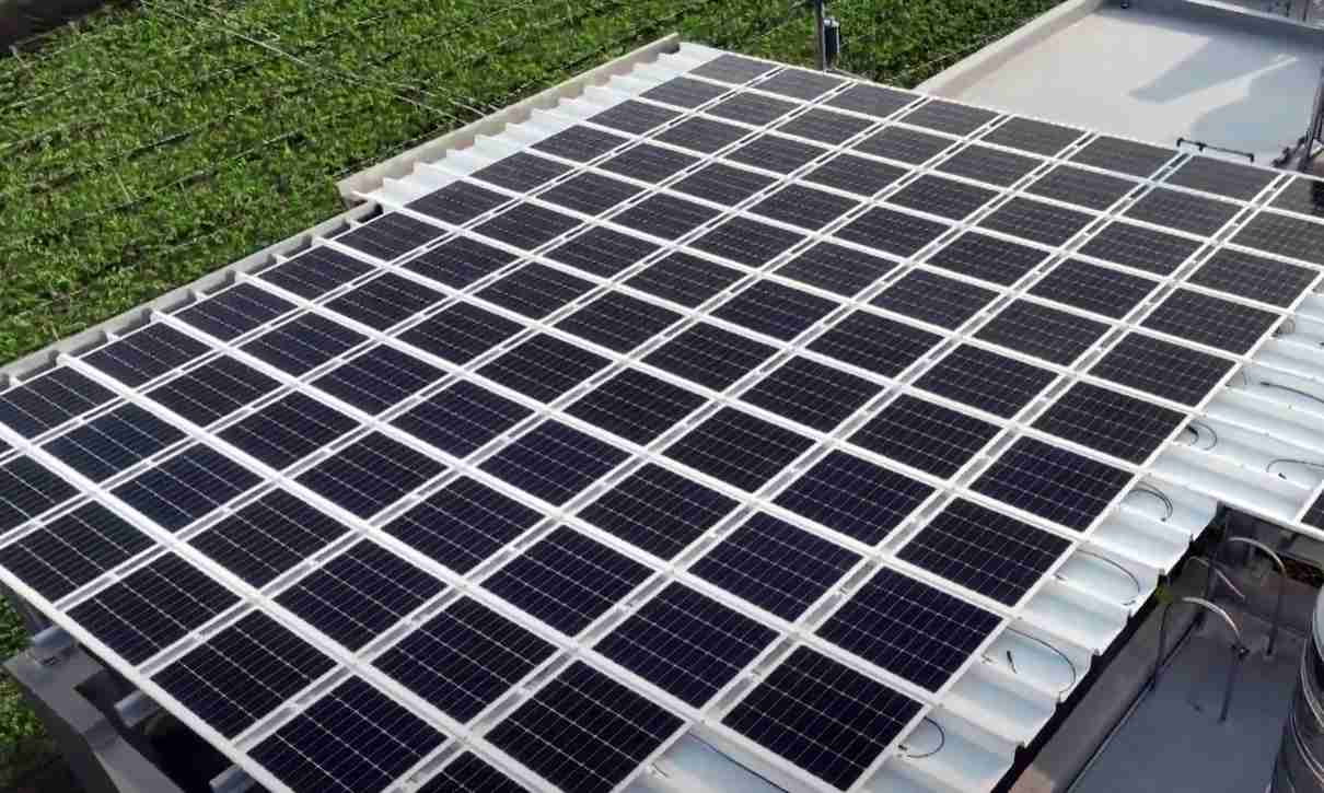 杏悦2SunSteel光电浪板升级双玻结构，，，以提升机械负载强度及气候耐候度，，，，可广泛运用于多元场域