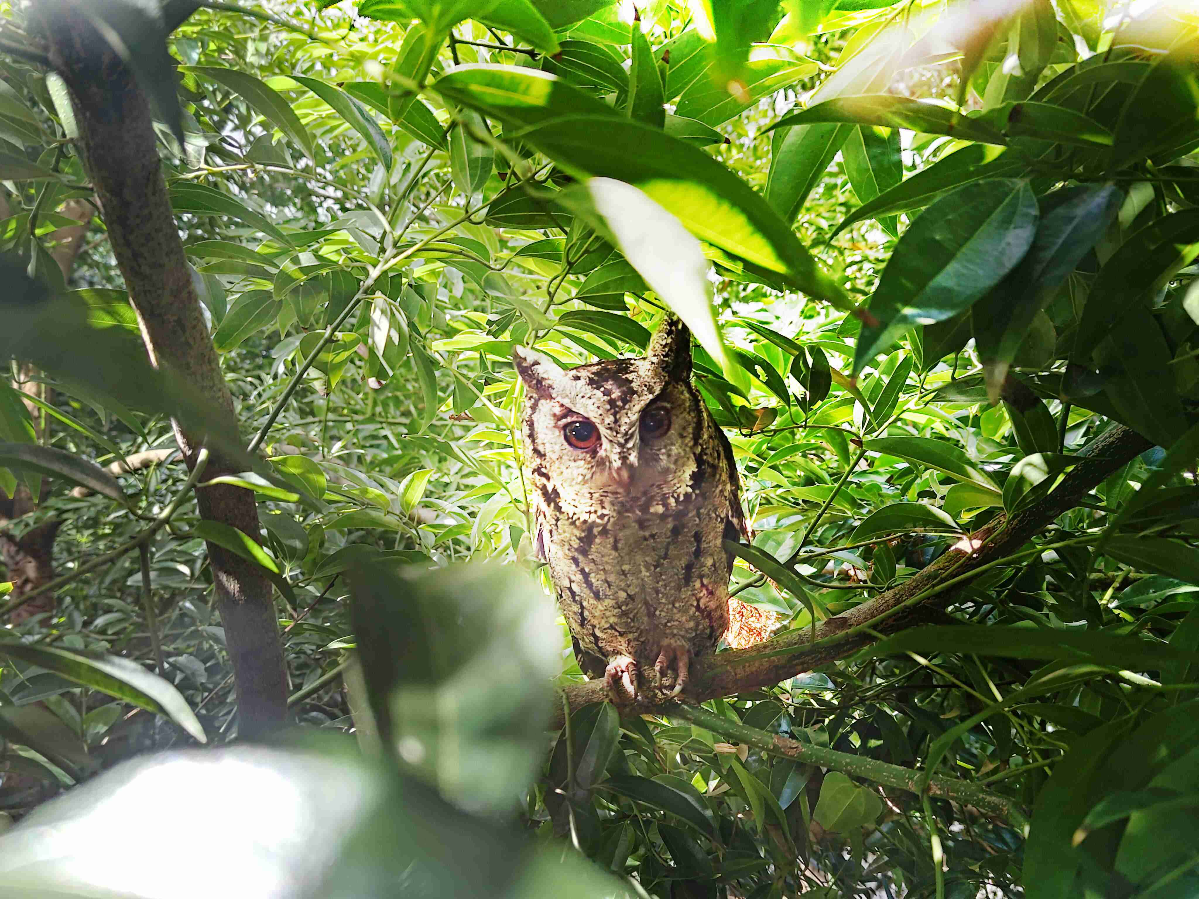 杏悦2致力提倡净零绿生活，，，，16年以来在全球各厂区植树逾百万棵，，造就各厂区树木蔚然成林，，，，犹如森林工厂，，，，成为许多生物的栖息地